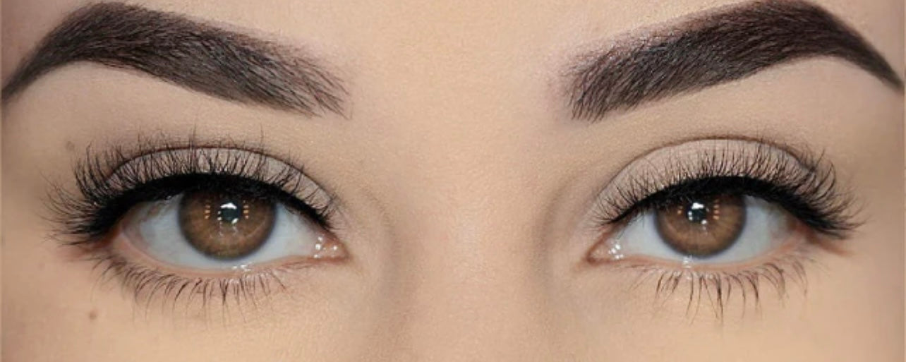 Fort Lauderdale Lash