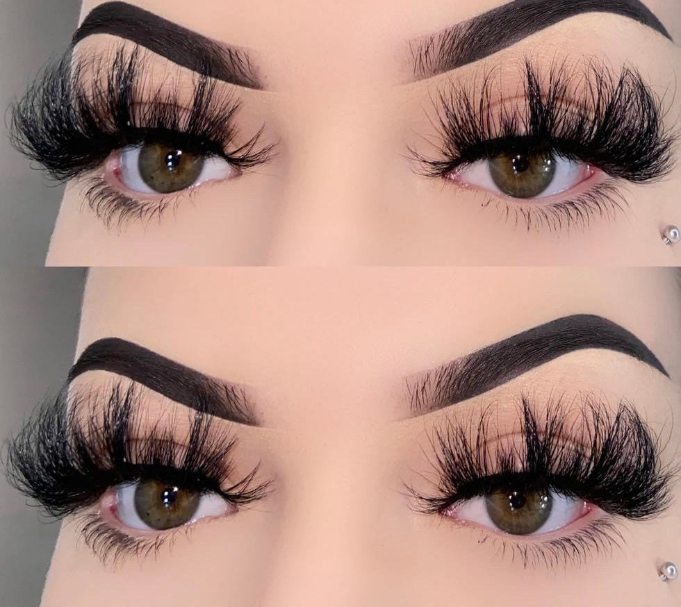 407 LASH