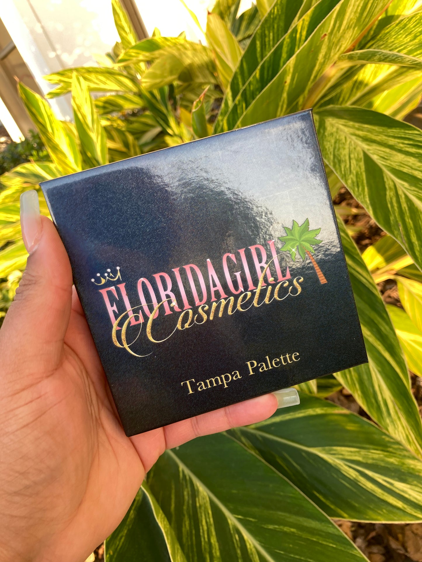 Tampa Palette