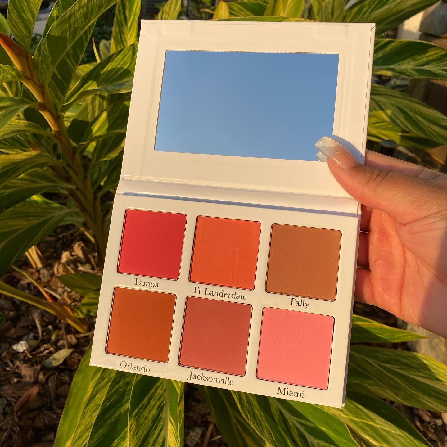 Florida Girl Blush Palette