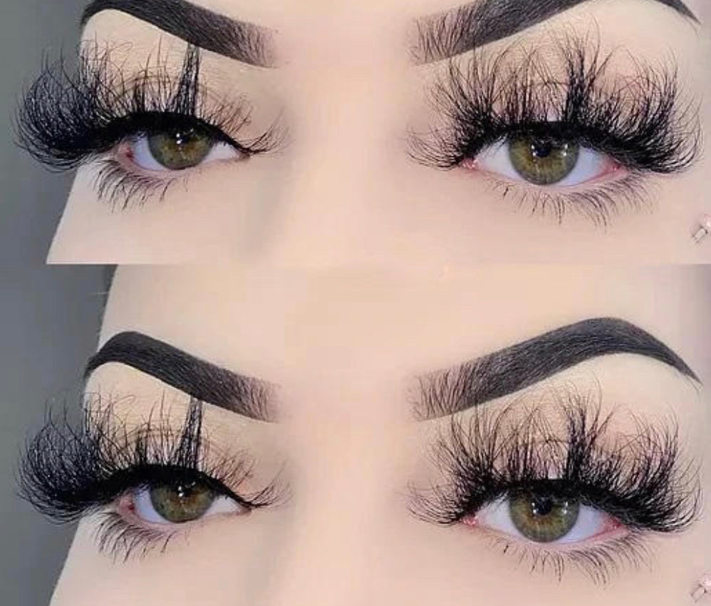 305 LASH