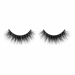 ORLANDO LASH