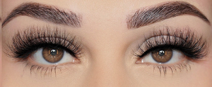 ORLANDO LASH
