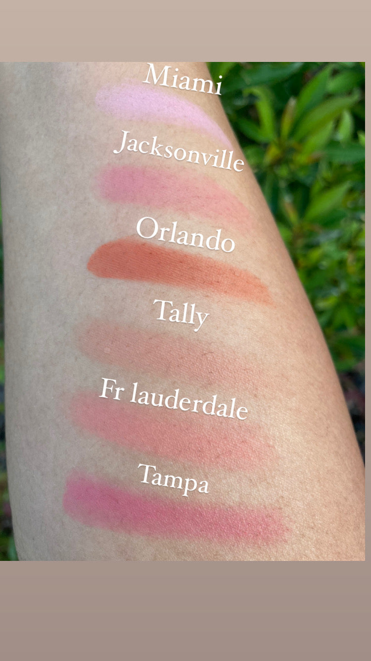 Florida Girl Blush Palette