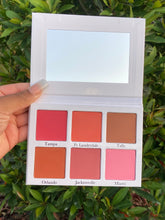 Load image into Gallery viewer, Florida Girl Blush Palette
