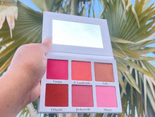 Load image into Gallery viewer, Florida Girl Blush Palette
