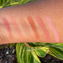 Load image into Gallery viewer, Florida Girl Blush Palette
